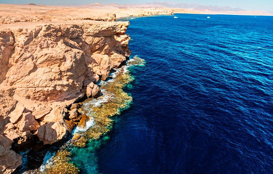 Half day Ras Mohammed National Park by bus: Snorkelling Trip