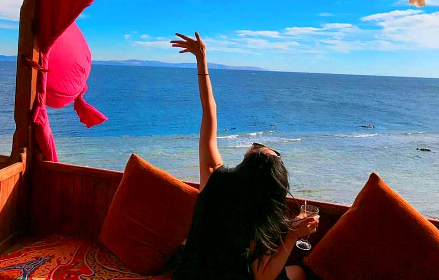 Sinia overview CTE-SD130