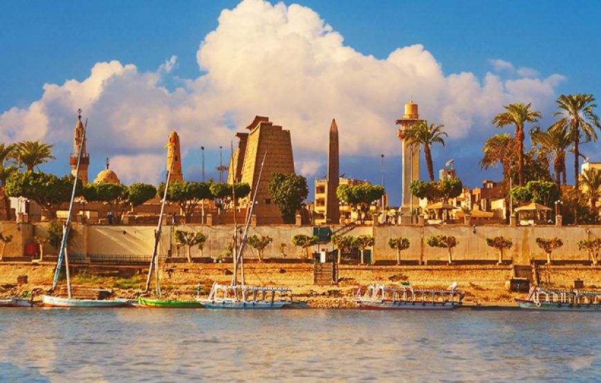 King Tut Program CTE-LN105