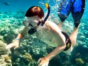 Half day Ras Mohammed National Park by bus: Snorkelling Trip