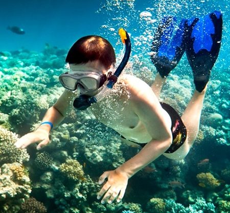 Half day Ras Mohammed National Park by bus: Snorkelling Trip