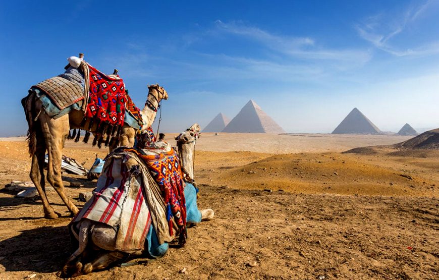 Alexandria Highlights CTE-AC127