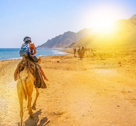 Sinia overview CTE-SD130