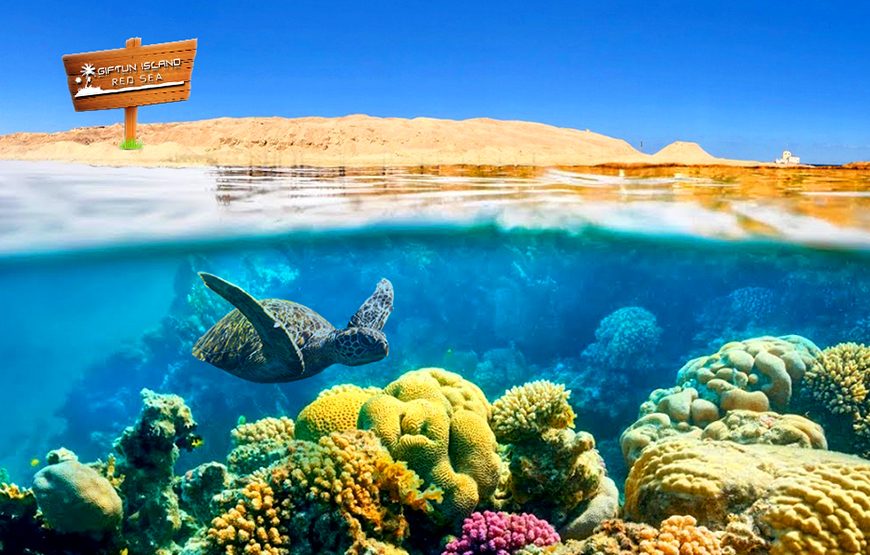 Safaga / Hurgahada/ Sagafa