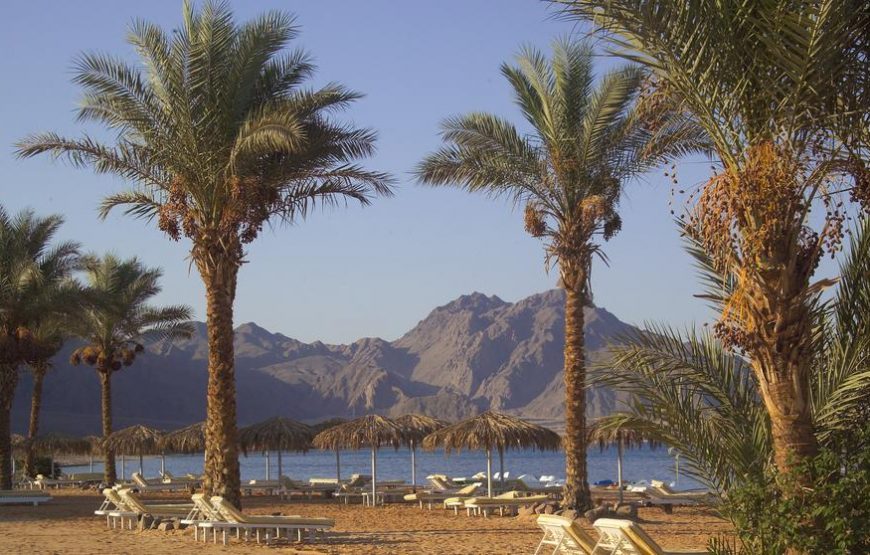 La Playa Beach Resort Taba