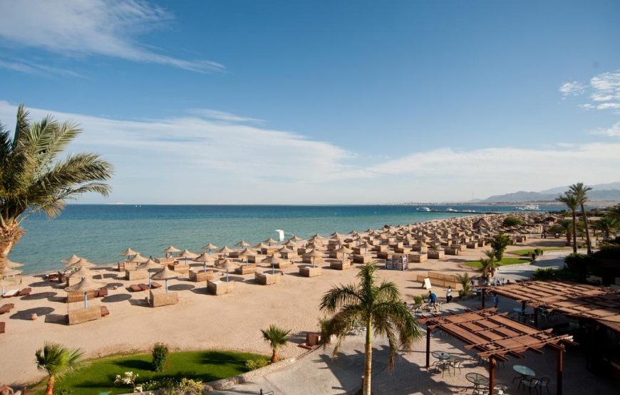 Imperial Shams Abu Soma