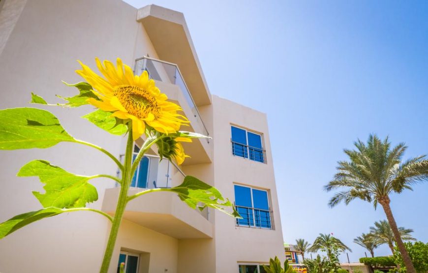 Seagull Beach Resort