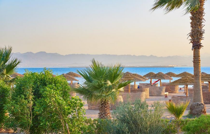 Sheraton Soma Bay Resort