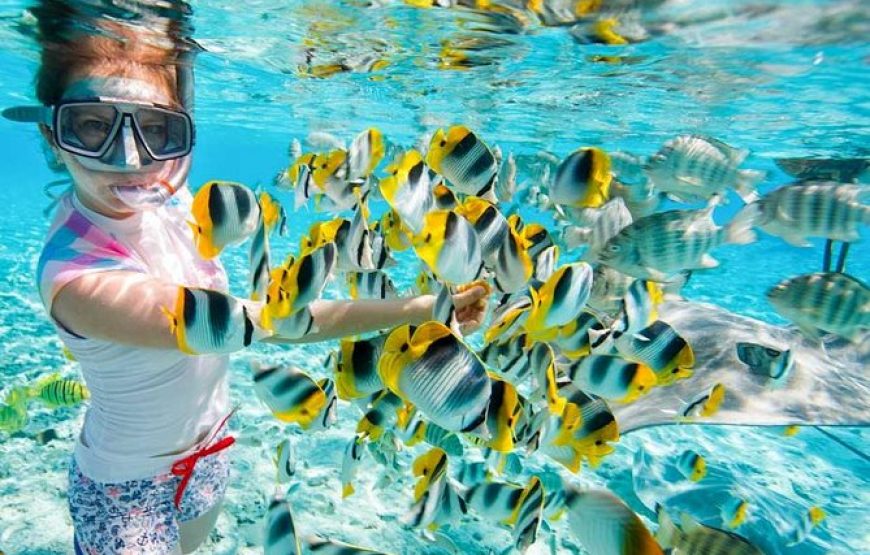 Giftun Island Snorkeling Trip