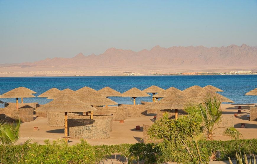 Sheraton Soma Bay Resort