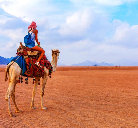 Best of Sinia CTE-ND128