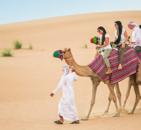 Camel Ride Dinner & Show