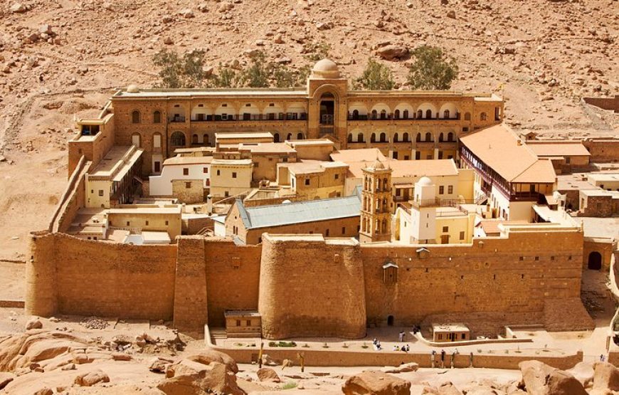 Vally of Sinia CTE-CD129