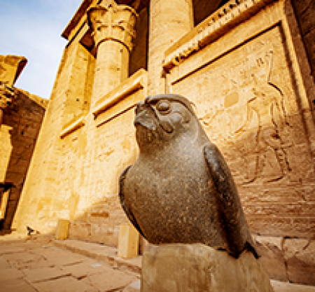 Osoris Program CTE-CNH118