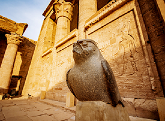 Osoris Program CTE-CNH118