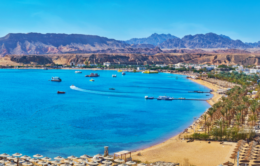 Vacation in Sharm El-Sheikh