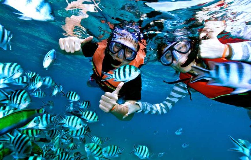 Giftun Island Snorkeling Trip