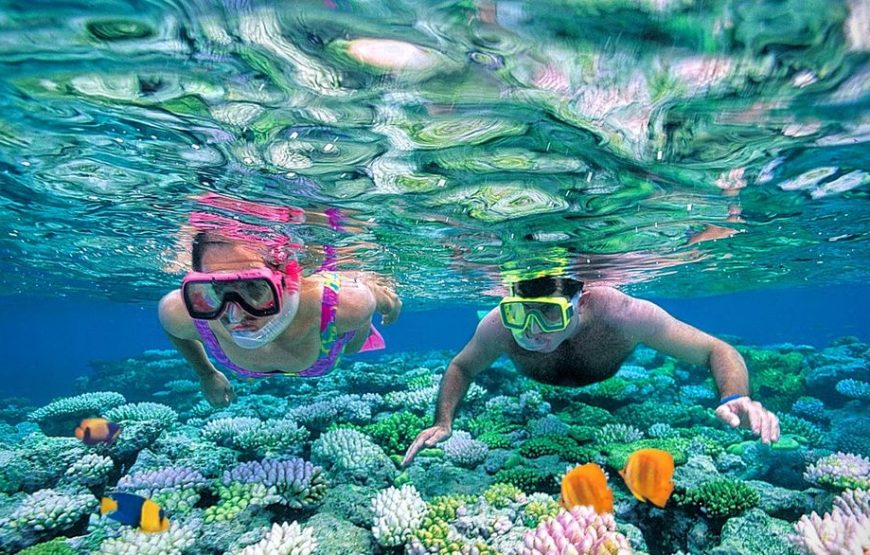 Giftun Island Snorkeling Trip