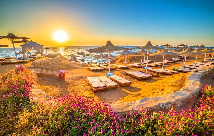 Sinai Star CTE-CS103 (From 20.12 – 10.01.2024)