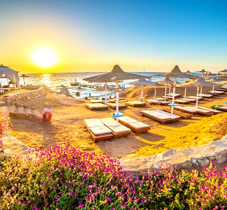 Amon Program CTE-CN123 (From 20.12 – 10.01.2020)