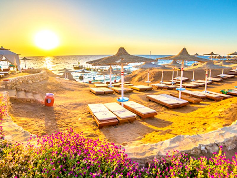 Amon Program CTE-CN123 (From 20.12 – 10.01.2020)